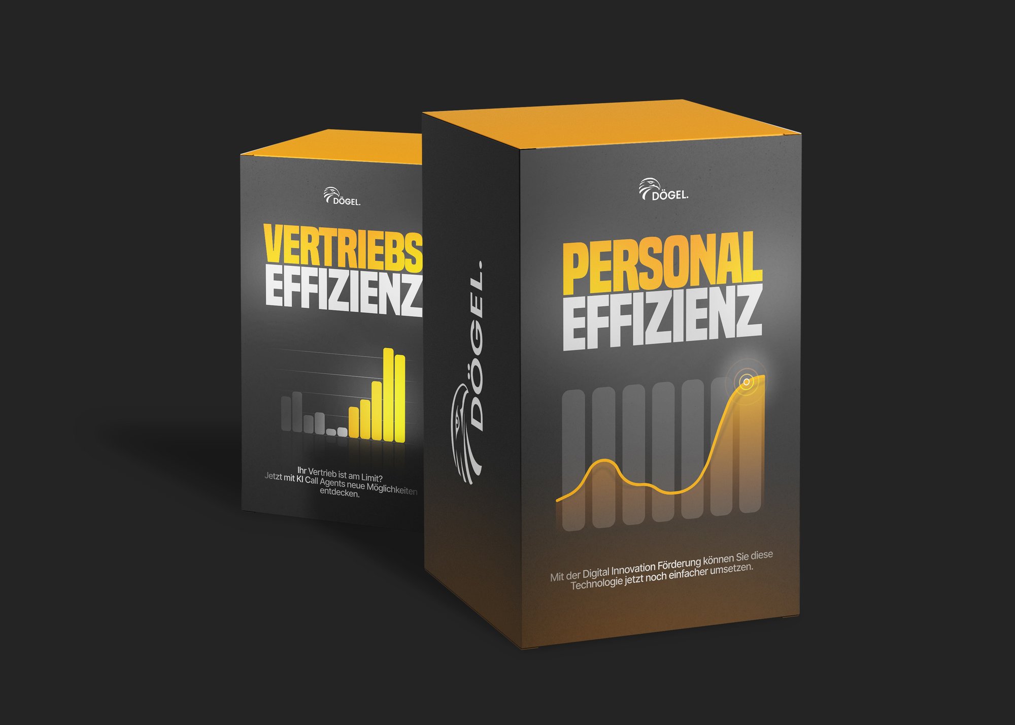 Doegel_Personal_Vertriebseffizienz_Box Doegel_Personal_Vertriebseffizienz_Box